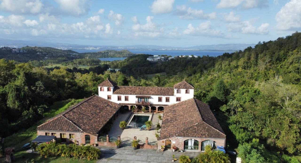 לה טרואז אילט Domaine Du Chateau מראה חיצוני תמונה